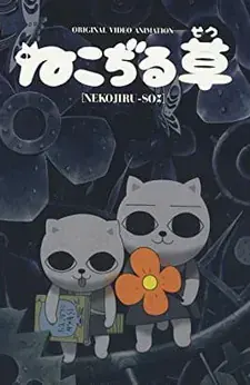 Кошачий суп