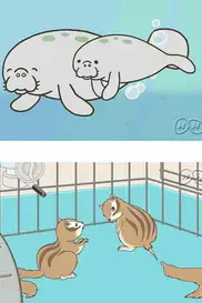 Энциклопедия жалких созданий: Спецвыпуски